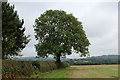 Bridleway rounding the Perimeter of High House Farm