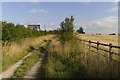 Bridleway to Sandbeck Wood