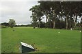 NZ2979 : Golf course, Blyth by Graham Robson