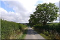 Washdyke Road heading east to Owston