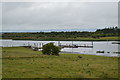 N0030 : Jetty, River Shannon by N Chadwick