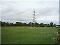 Grazing and pylon off Coxgreen Road