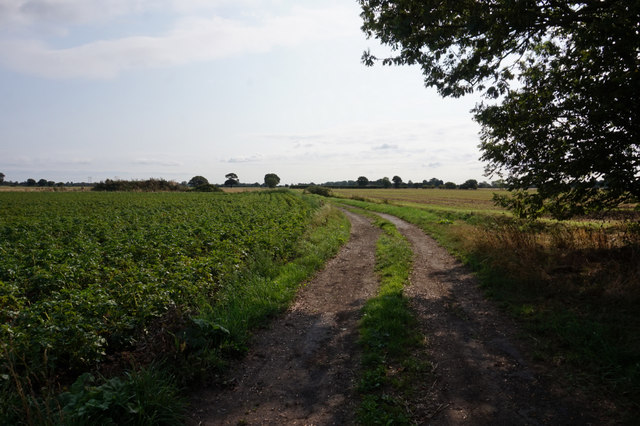 Oxen Lane towards Hagg Lane © Ian S cc-by-sa/2.0 :: Geograph Britain ...