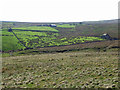 Black Cleugh and Westend Allotment