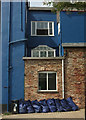 SX8060 : Blue in the Market Square, Totnes by Derek Harper