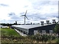 SK8675 : Wind-powered chicken farm by Graham Hogg