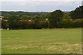 Field with London skyline