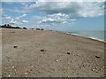 East Preston, beach & groynes