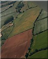TF4179 : Crop marks in field east of Great Eau north of Claythorpe: aerial 2018 by Chris