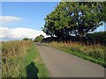 Washdyke Road towards Owston