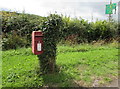 Queen Elizabeth II postbox in Coed-y-fedw, Monmouthshire