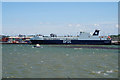 DFDS Gardenia Seaways, Port of Felixstowe