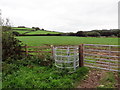 Llwybr Ardderfin / Ardderfin Path