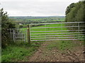 Llwybr Ardderfin / Ardderfin Path