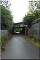 Guild Wheel and railway bridge