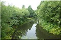 Ribble Link from a lock