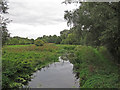 River Chelmer from Footbridge nr Chelmer Valley Local Nature Reserve