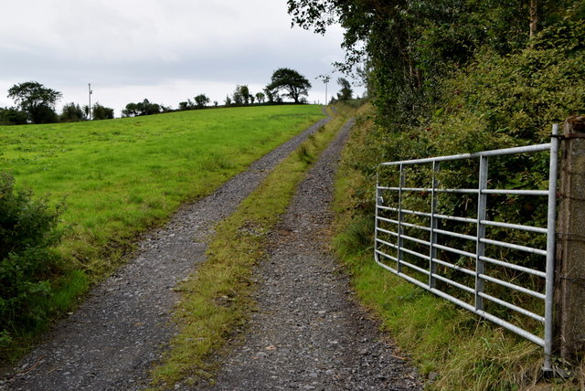 An open gate, Cloghog Upper