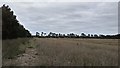 Open Farmland South Of Thetford