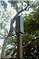 Public footpath sign by the A61