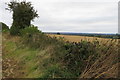 Trigpoint on the field boundary