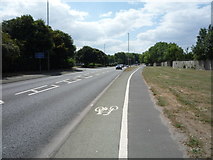 NZ3464 : National Cycle Route 14, East Jarrow by JThomas