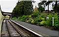 Platform 2, Winchcombe Station, Greet