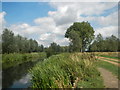 The River Chelmer upstream of Paper Mill Lock