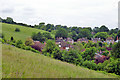 Downland on the fringes of Guildford