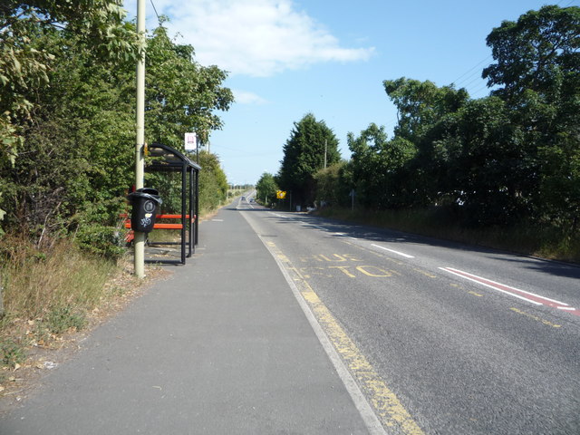 Bus stop and shelter on Sunderland Road (A184), East Boldon