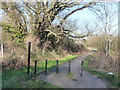 Footpath Westbourne