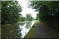 Lancaster Canal approaching Bexhill Road Bridge