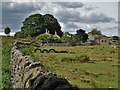 Another view of Moorside Farm