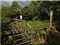 Footbridge near Musbury House