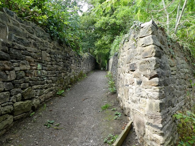 Narrow lane by Ashton Canal