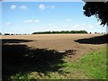 Crop field west of Mill Lane