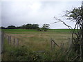 Farmland near Richmond Farm