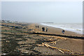 Washed up timber, Shoreham Beach