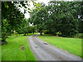 Bridleway between Oak Tree Farm and Race Lane, Pilmoor