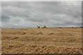NU2302 : Arable field at Cavil Head by Graham Robson