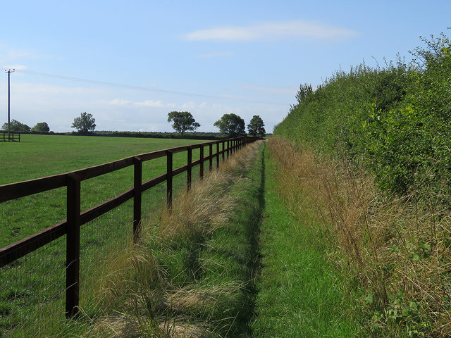 Footpath to Linton