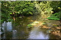 River Dever from the bridge at Bransbury