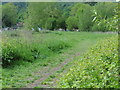 The Thames Path National Trail near Streatley