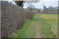TQ8243 : Footpath by hedge by N Chadwick