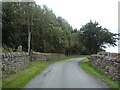 Lane beside woodland, Hedley Hill