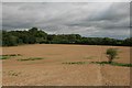 Footpath through stubble field, Talbothays