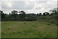 Horses on the boundary