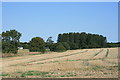 Stubble Field Beside Peterfield