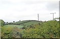 Telephone mast north of Carrickacullion Road