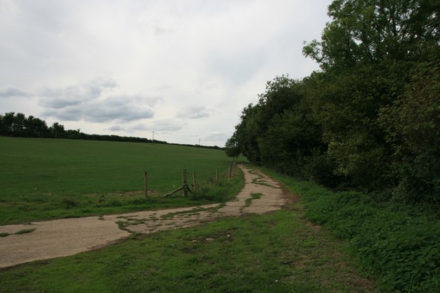 Footpath through farmland, Stourton Caundle